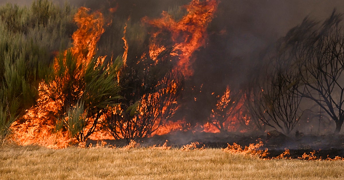 Los incendios extremos cambian las reglas de la lucha contra el fuego