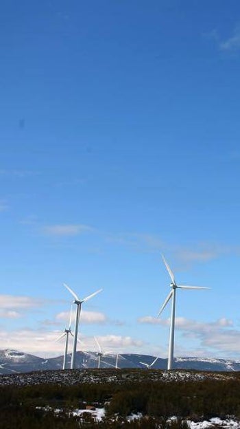 Energías renovables sí, pero con evaluación de impacto ambiental