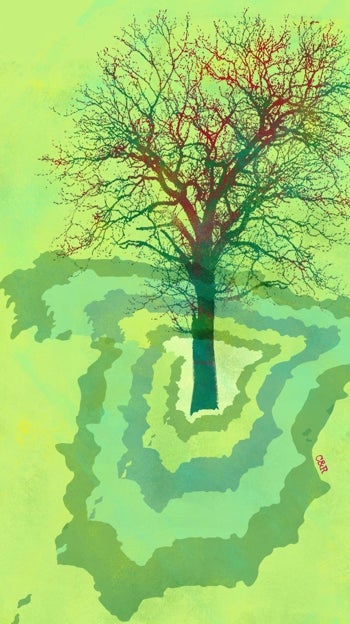 De la despoblación a un medio rural vivo