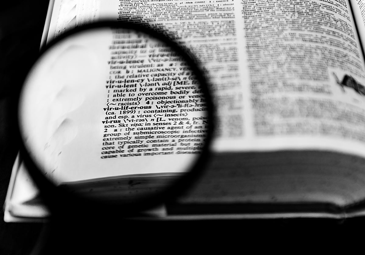 ¿Una miss léxica cada año?