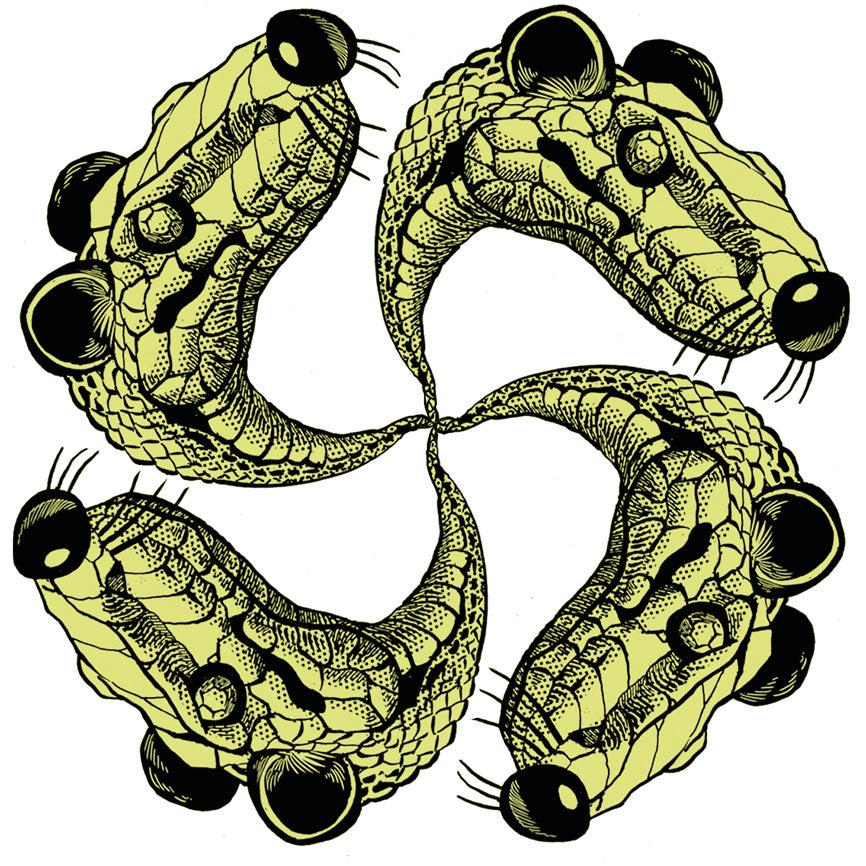 Una lección de vida