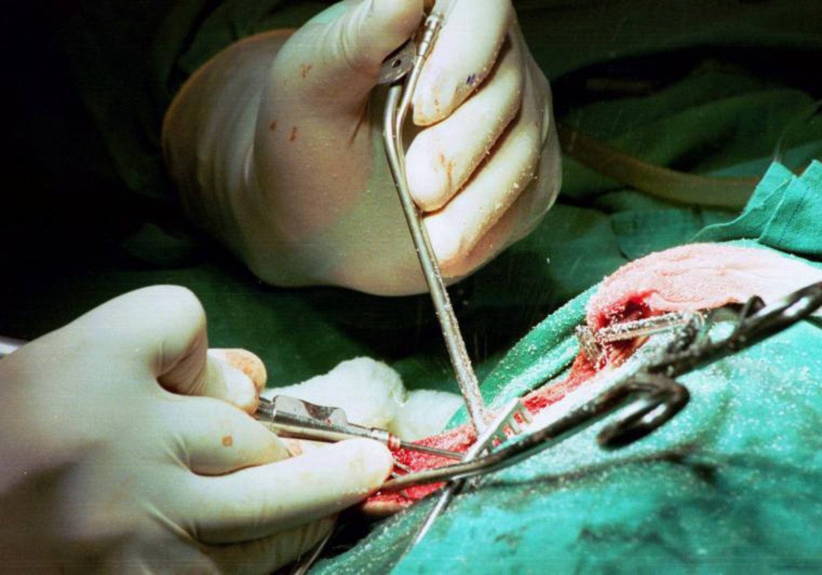 Reviviscencia del buen médico