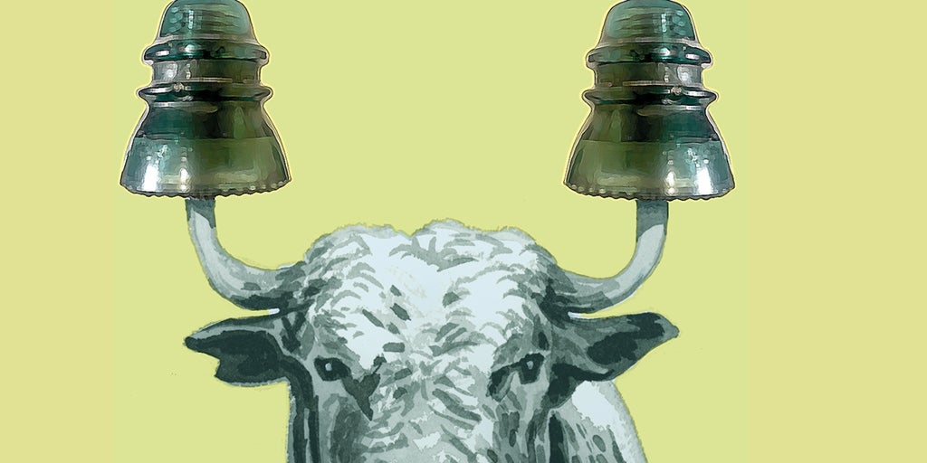 El coste de una política energética sin red