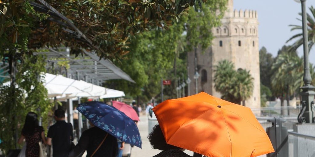 Lola pons: sevilla tiene un color artificial