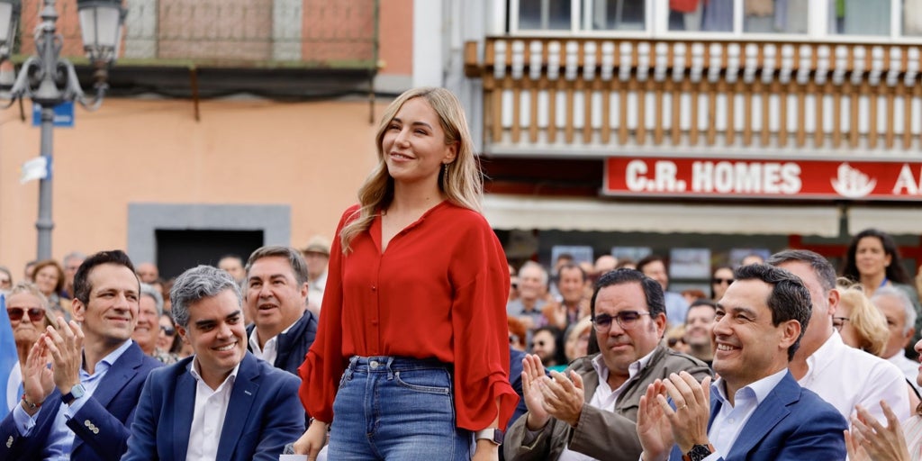 Dimisión de Noelia Núñez: óleo sobre lienzo