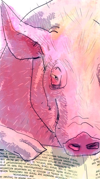 La verdadera obra maestra de Orwell