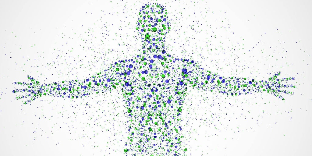 Las humanidades a la luz de la evolución