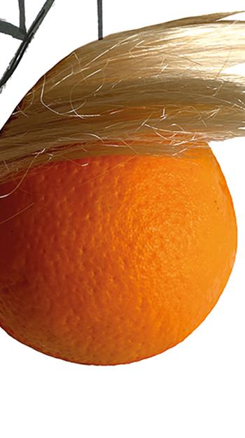 Tomarse en serio a Trump