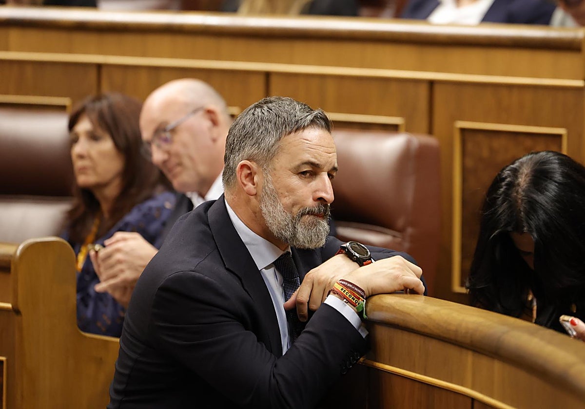 El presidente de Vox, Santiago Abascal.