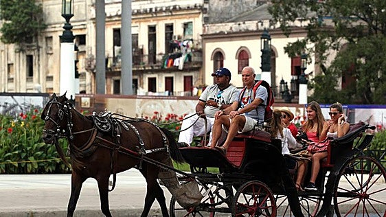 El caballo palmesano