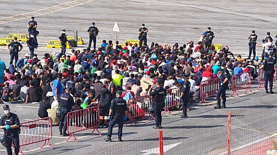 Zombis, espías, niñas y cadáveres