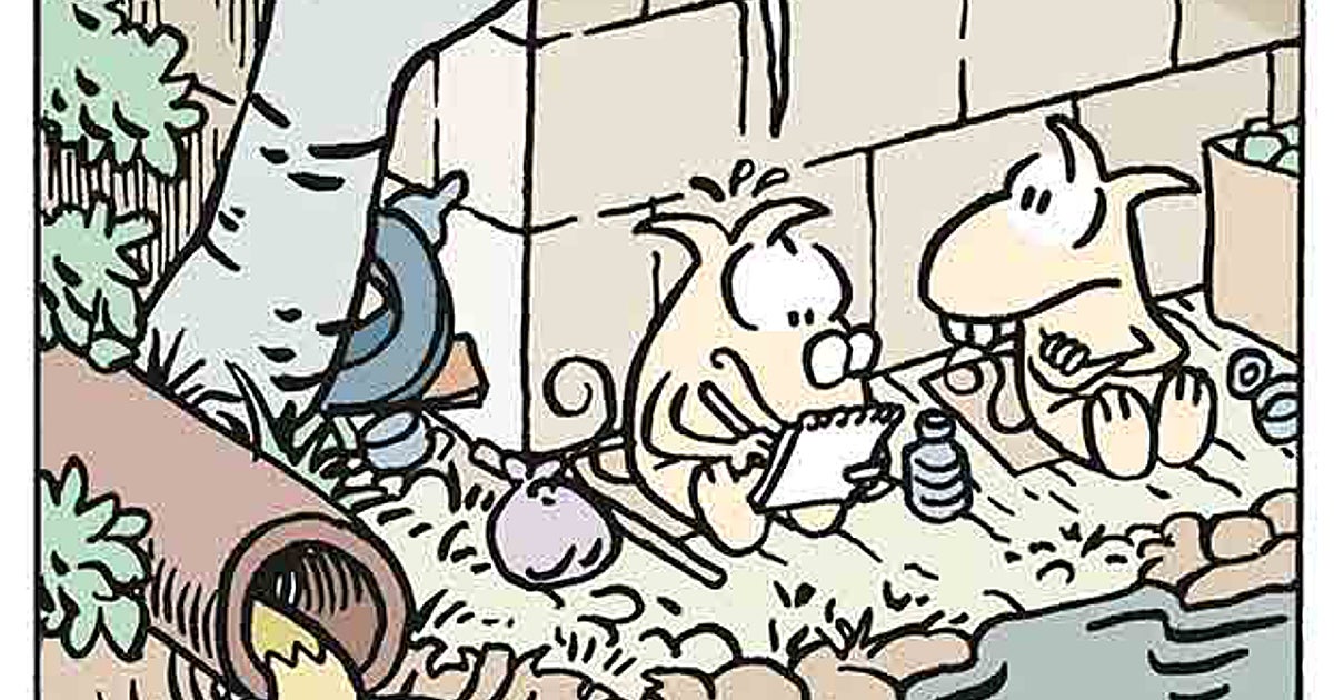 imagem