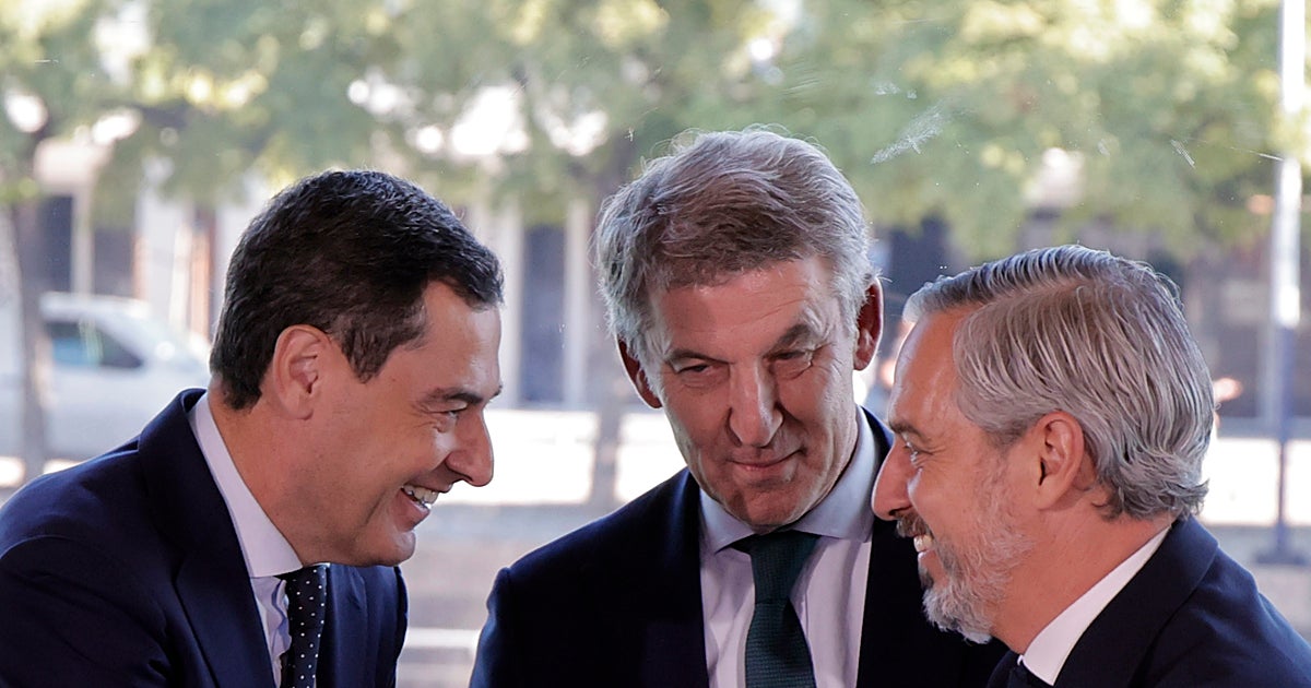 LA FUERZA ¿REAL? DE LA DERECHA