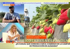 Tenso choque entre un agricultor y una sindicalista de 'Espejo Público' por la fresa: «¡Váyase a Almería o a Huelva!»
