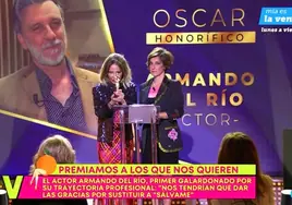 'Sálvame' despelleja al actor Armando del Río tras su polémica crítica al programa