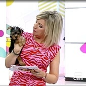 Un tierno cachorro, protagonista inesperado de la televisión manchega por lo que le hace a la presentadora