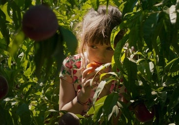 Carla Simón y 'Alcarràs': cuando la ficción se adelantó a la realidad