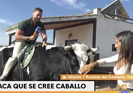 Un reportero de 'Mañaneros' sufre un percance con sus pantalones en directo: «Los he escuchado crujir»