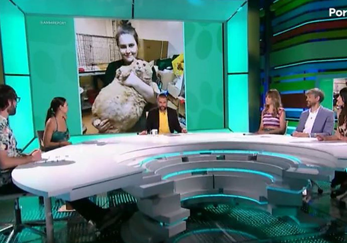 Plató de 'Zapeando'