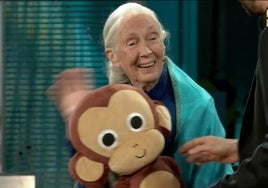 Sorpresa mayúscula en ‘La Revuelta’ ante la visita de la leyenda Jane Goodall: «Los chimpancés me recuerdan a ciertos políticos hombres»