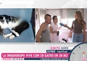 Una propietaria al borde del colapso por una inquiokupa en Madrid: «Me debe 4.000 euros y vive con 20 gatos en 22 metros cuadrados»