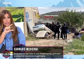 Nuria Roca, sobre el uso medicinal del cannabis en España para tratar enfermedades: «Hay gente que cree que se va a los hospitales a fumar marihuana»