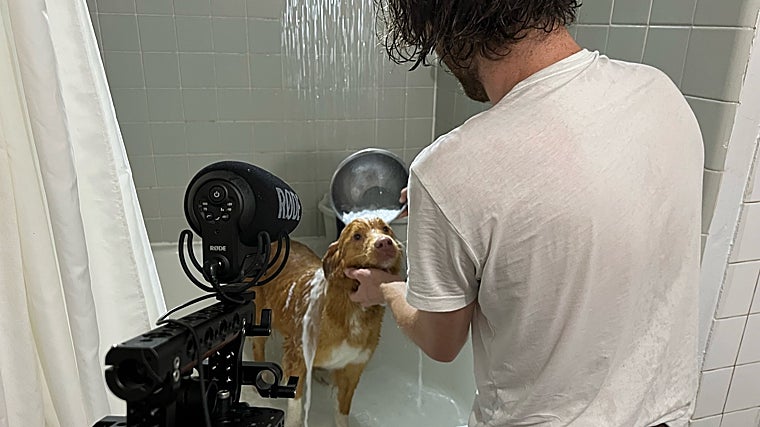 Indy, the protagonist of 'Good boy' on the set of the film