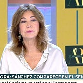 Ana Rosa analiza los detalles de la comparecencia en el Senado de Pedro Sánchez