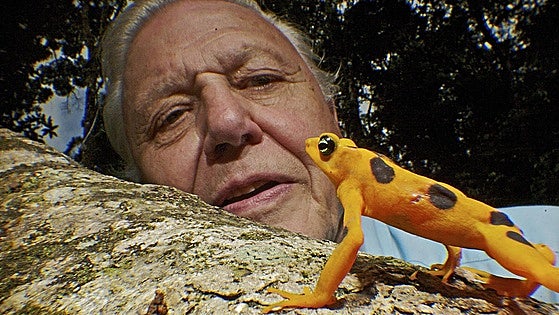Los cien años de Sir David Attenborough, el hombre que puso voz a la naturaleza