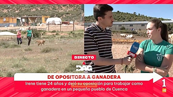 De opositora a ganadera: Irene Alepuz, la joven conquense que cambia los libros por 500 ovejas
