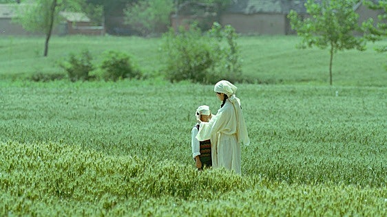 Crítica de 'Vivir la tierra' (***): Fresco de la China rural y su inminente progreso