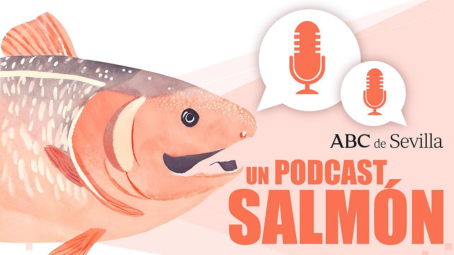 Un podcast Salmón | Asalvo, la firma que fabrica carros y cunas para las grandes superficies