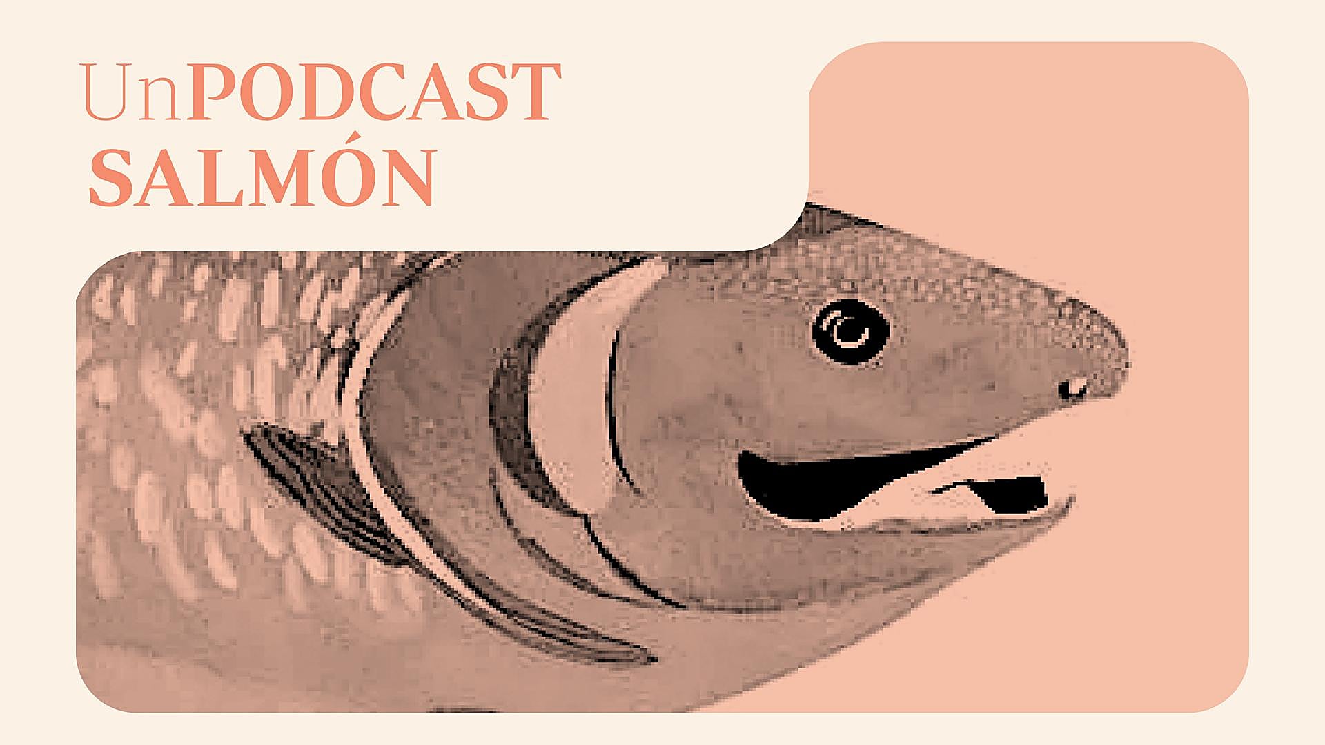 Estanislao Martínez (AGQ Labs): «Los empresarios tienen miedo de abrir la puerta a un inversor por un tema de egos»