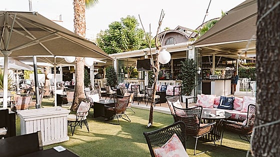 Terraza Sojo Sevilla (Lonja del Barranco): Reservas, horarios y programación