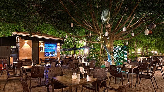 Terraza Premier Garden Cocktail Bar: horarios y reservas