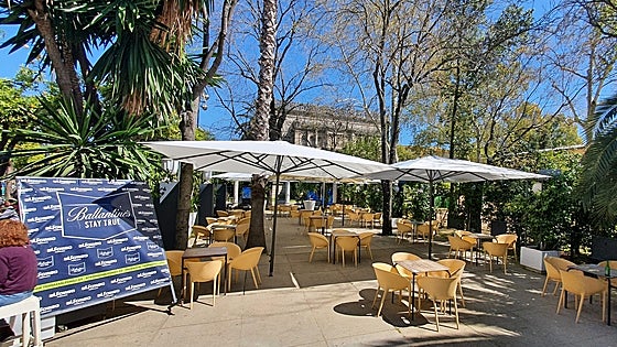 Terraza Alfonso Sevilla: horarios, programación y reservas