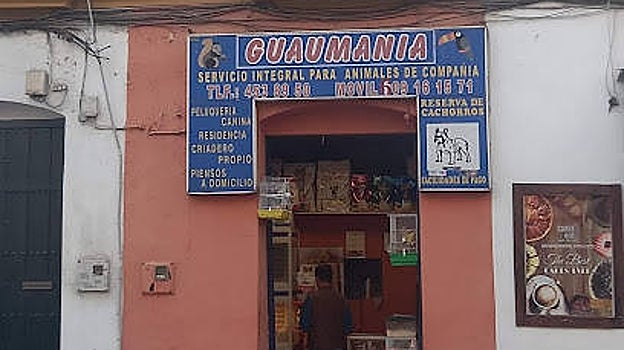 Las cinco mejores tiendas de animales de Sevilla
