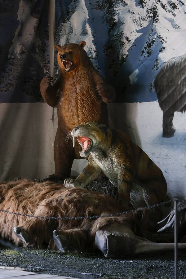 Las figuras a tamaño real y con gran realismo hacen al visitante adentrarse en el mundo de los dinosaurios