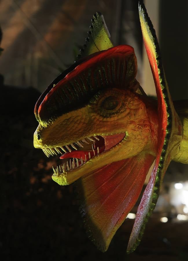 Las figuras a tamaño real y con gran realismo hacen al visitante adentrarse en el mundo de los dinosaurios