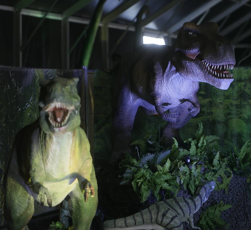Las figuras a tamaño real y con gran realismo hacen al visitante adentrarse en el mundo de los dinosaurios