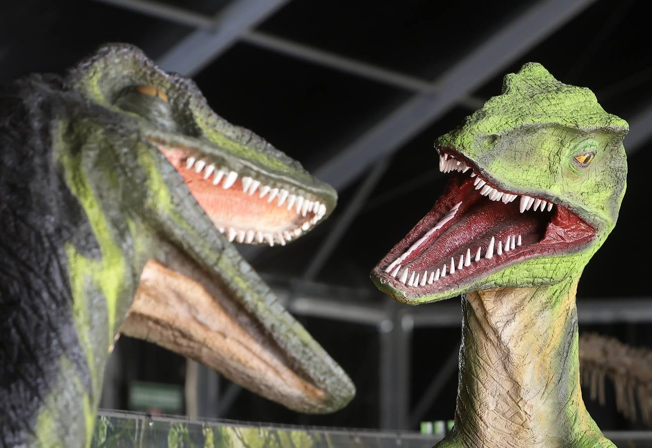 Las figuras a tamaño real y con gran realismo hacen al visitante adentrarse en el mundo de los dinosaurios