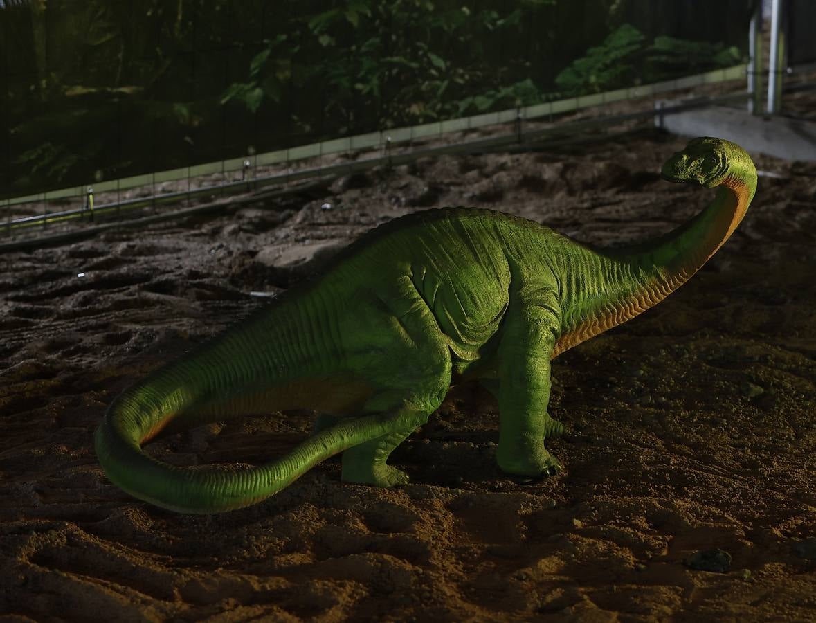 Las figuras a tamaño real y con gran realismo hacen al visitante adentrarse en el mundo de los dinosaurios