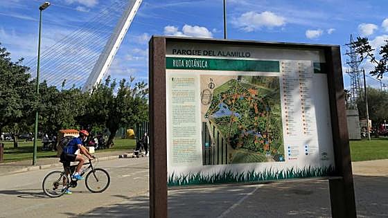Rutas botánicas guiadas en el Parque del Alamillo de Sevilla