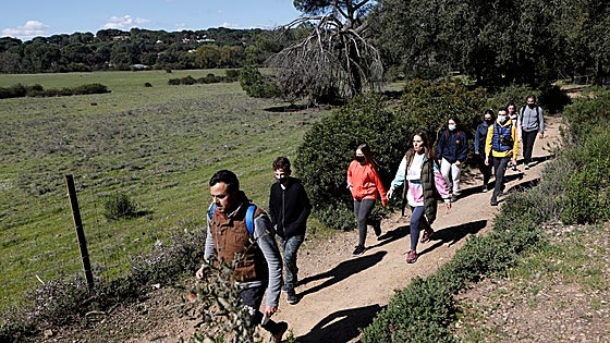 Senderismo en Sevilla: descubre los caminos de los antiguos romanos en la Vía Augusta