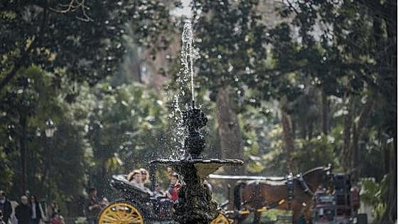 La ruta para salir de paseo en primavera por los parques y jardines de Sevilla