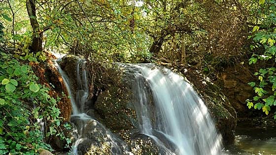 Los bosques más bonitos de Sevilla para visitar esta primavera