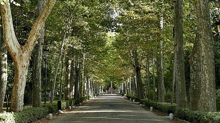 Once parques infantiles en Sevilla