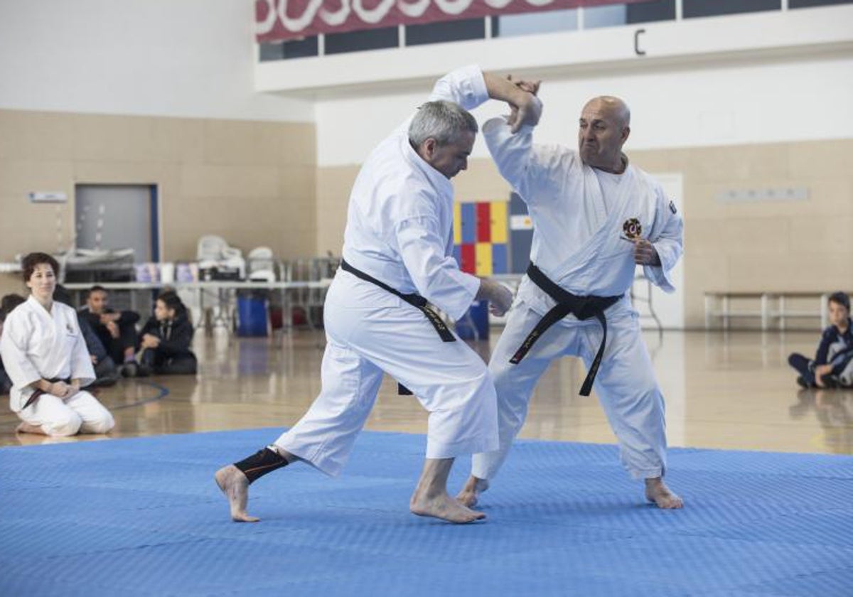 Una exhibición de Shorinji Kempo celebrada en Sevilla