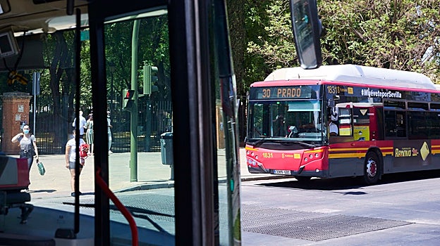 Paradas de autobuses en el Prado de San Sebastián