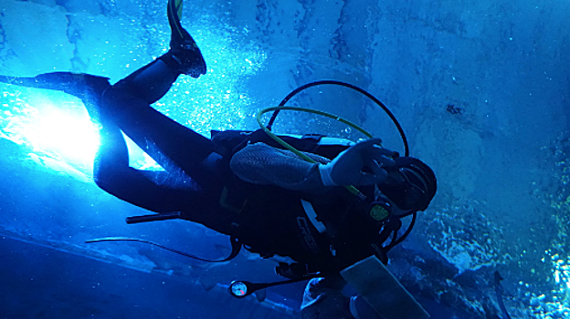 Uno de los buzos que ponen a punto los tanques del acuario